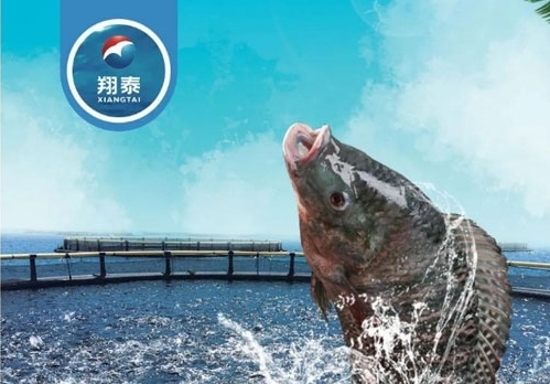 翔泰漁業(yè)深耕【海南鯛】近二十年，堅持高品質(zhì)水產(chǎn)品穩(wěn)定供應(yīng)，不斷創(chuàng)新研發(fā)產(chǎn)品以滿足不同市場需求！