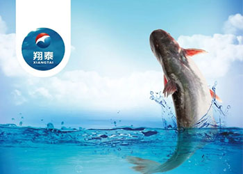 繼金鯧魚、海南鯛之后！翔泰漁業(yè)全力打造第三條精品魚【海南巴沙魚】