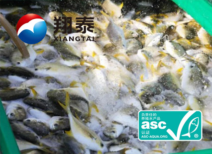 全球首家！海南翔泰漁業(yè)榮獲全球首張ASC金鯧魚網(wǎng)箱養(yǎng)殖認證證書