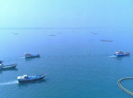 首批漁獲——翔泰2023金鯧魚全面開捕，從南海到餐桌，全程可追溯！
